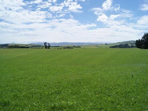 24 Station Road, Tapanui
