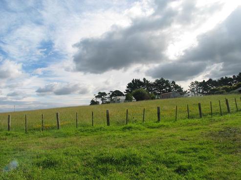 276 Cape Hill Road, Pukekohe