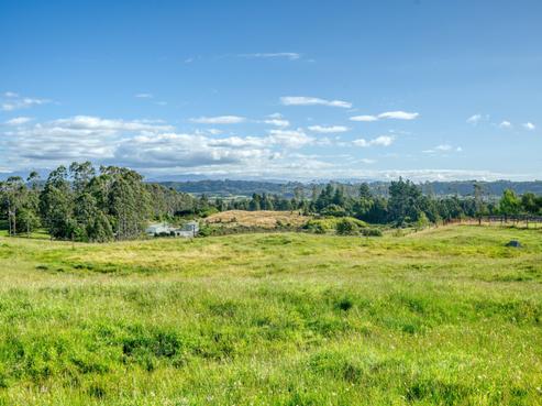 445 Lake Kaniere Road, Kaniere