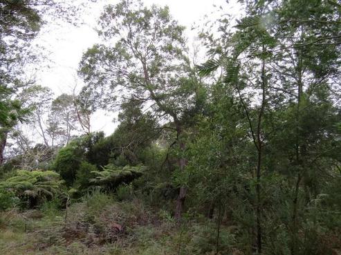 2 Rangitane Loop Road, Kerikeri