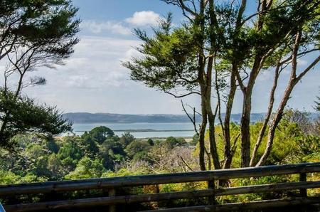 373 Shelly Beach Road, Shelly Beach