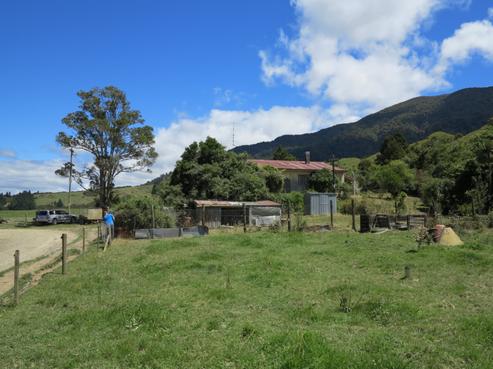 159 Cook Road, Collingwood