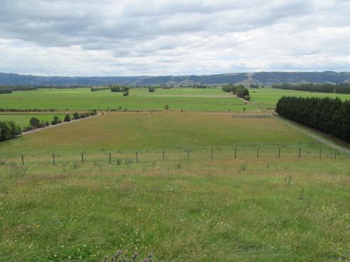 485 Gladstone Road South, Allanton