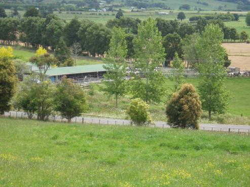 214 Crane Road, Kauri