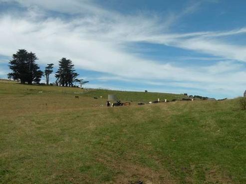 8 Heyward Point Road, Purakaunui