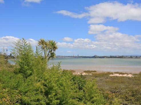 11 Herbert Street, Hauraki