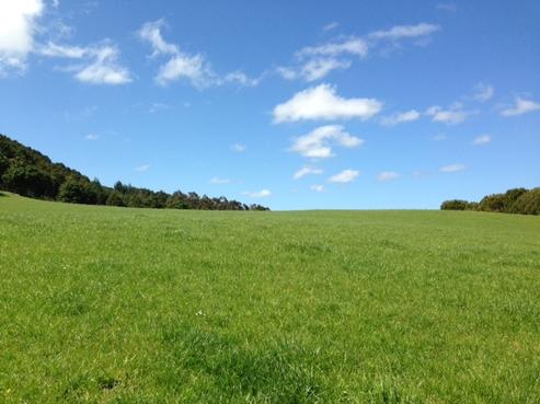 154 Jordan Valley Road, Hikurangi