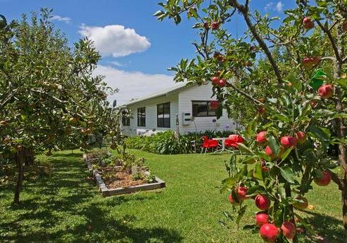 3 Shelly Beach Road, Surfdale