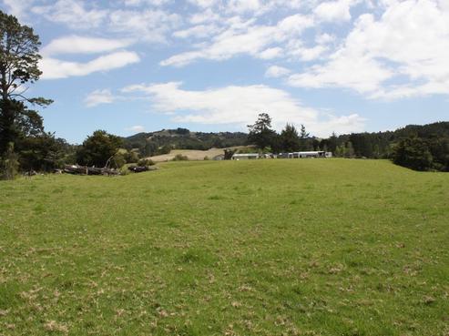 599 Mountfield Road, Waipu