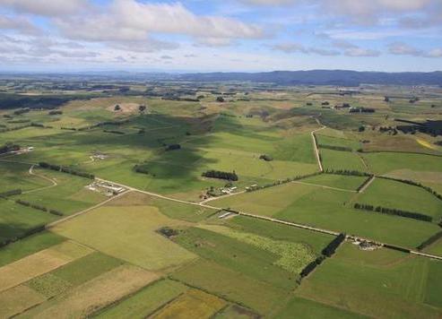 595 Terrace Road, Mataura