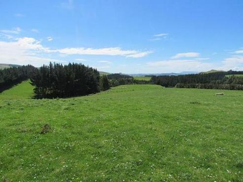 324 Pullar Road, Gore Surrounds