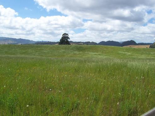 318 Whakapapa Road, Kakahi
