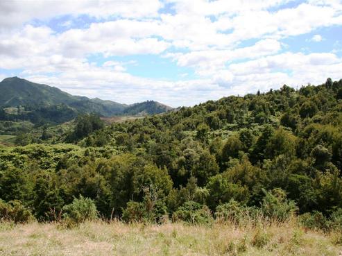 121D Princes Street, Waikino