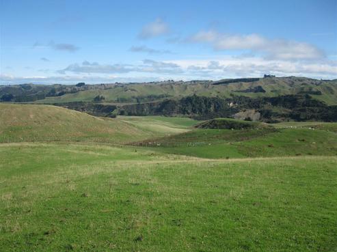 3266 Pohangina Road, Pohangina