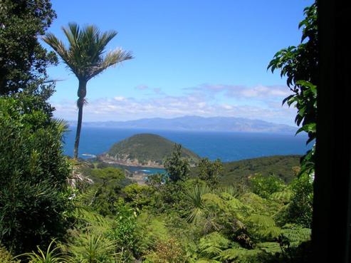 295 Cape Barrier Road, Great Barrier Island
