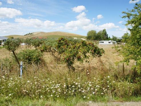 99 Great North Road, Waipawa