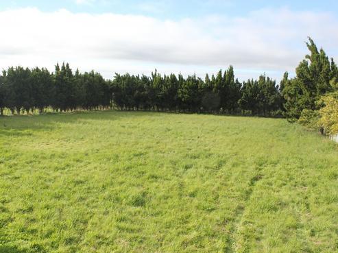38A Maltby Street, Meeanee