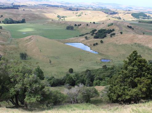 445 Bush Road, Central Hawkes Bay Country