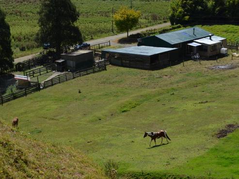 881A Piko Road, Okoki