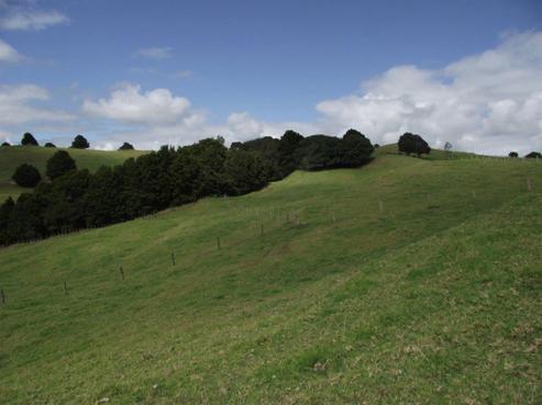 54 Vista Lane, Kaiwaka