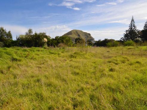 135 Newcastle Street, Mahia