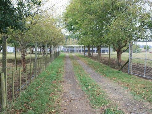 100 Te Arei Road West, Bell Block