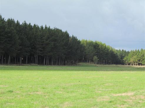 231 Motuiti Road, Foxton