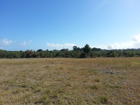 17 Kokopu Street, Ahipara