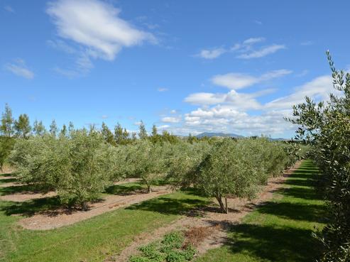 399B Lake Ferry Road, Martinborough