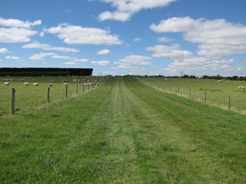 564 Mill Road North, Roslyn Bush