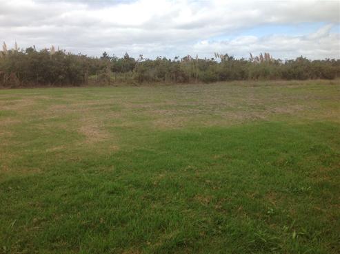 19 Dune Lake Place, Ruakaka