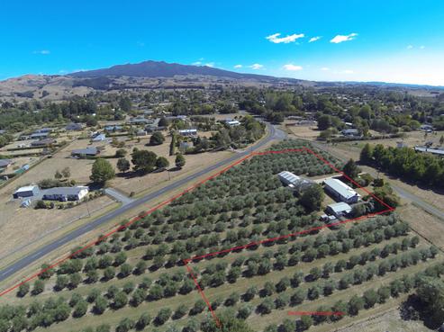 1256 Crozier Street, Pirongia