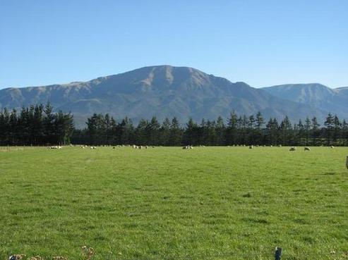 3545 Arundel Rakaia Gorge Road, Mount Somers