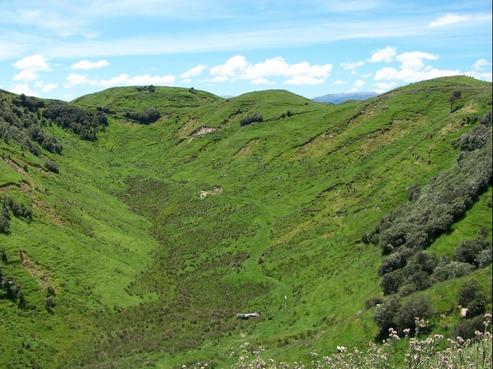 1993 Rangiwahia Road, Rangiwahia