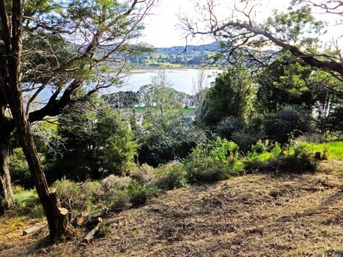 12 Patton Place, Tairua
