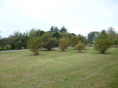 5 Cherry Lane, Glenavy