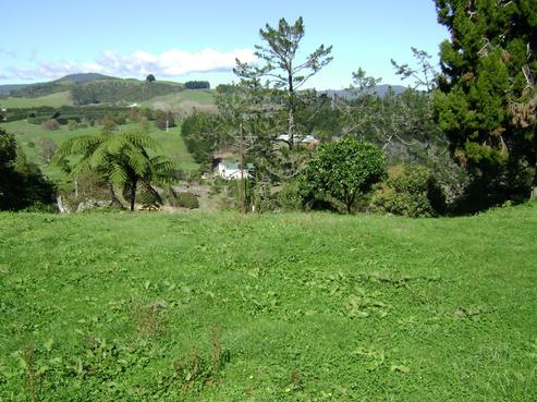 67 Old Waitekauri Road, Waikino