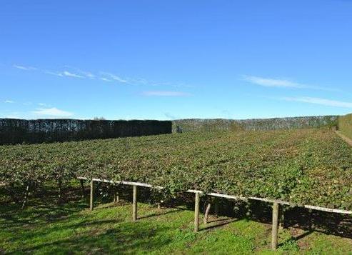 77 Dingle Road, Ohaupo