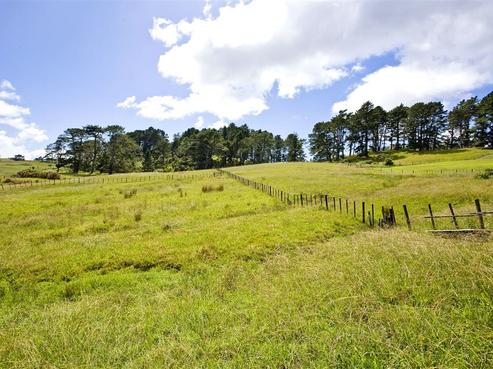 1545 East Coast Road, Redvale