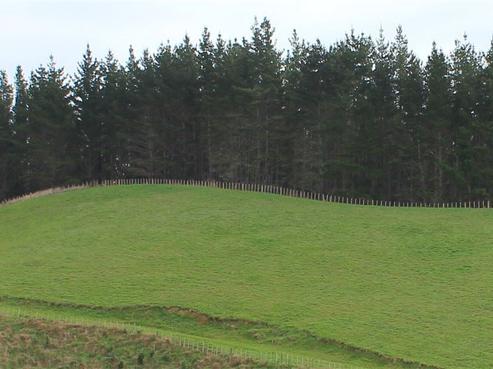 168 Gervin Road, Wainui