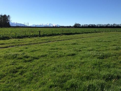 135 Anama Settlement Road, Mayfield