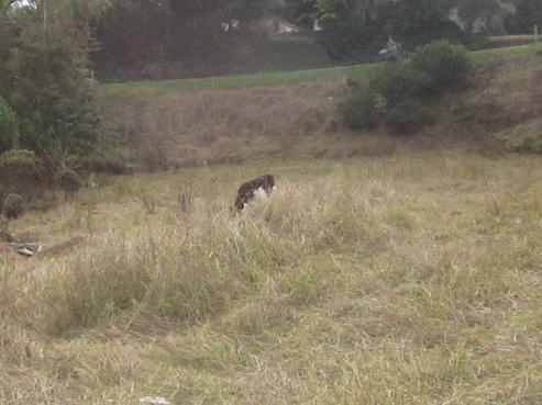 8 Kakamutu Road, Otorohanga