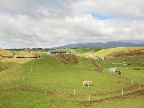 469D Plymouth Road, Oakura