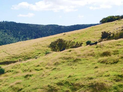 304 Leith Valley Road, Leith Valley