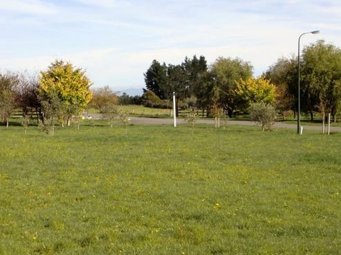 4 Redwood Lane, Martinborough