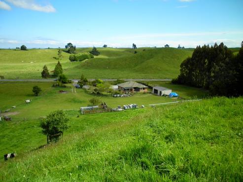 50 Whangamata Road, Kinloch