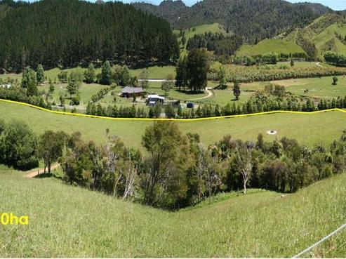 343 Wentworth Valley Road, Whangamata