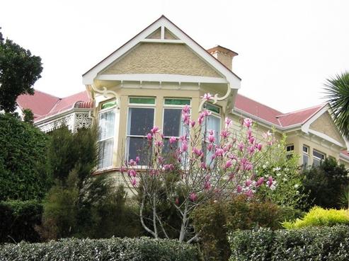 20 Clifford Street, Dalmore