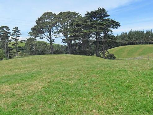 430 Forestry Road, Otaua