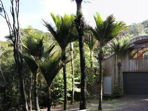 11 Rimu Place, Tuateawa